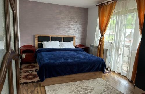 Moldovita House | Moldovița Residence