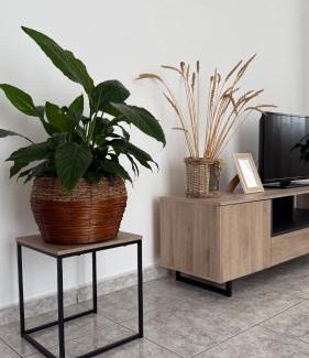 Los Llanos Apartment | Molino del Trigo