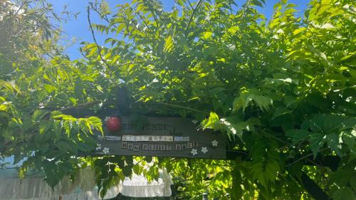 Maussane Bed & Breakfast | Mon petit Bali