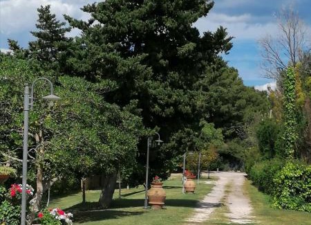 San Vincenzo Apartment | Monica appartamenti