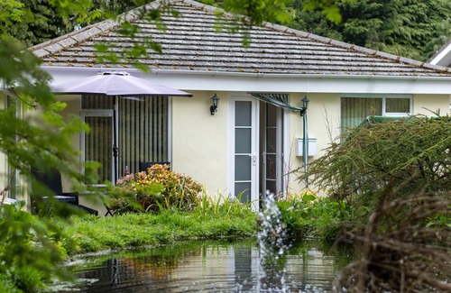 Belford House | Monkey Puzzle Retreat