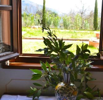 Pescia House | Monte A Pescia