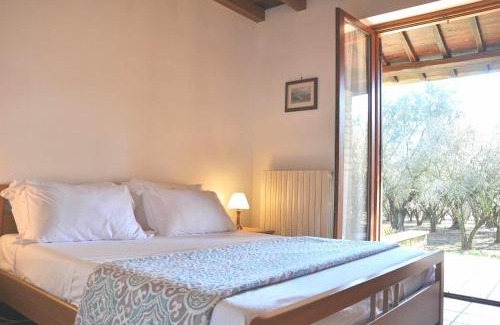 Capranica Apartment | Montecasciano Ciclamino