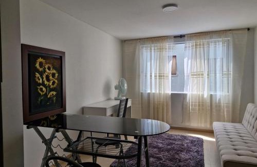 Bucaramanga Apartment | Montezuma living 307