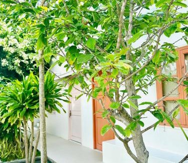 Mui Ne House | Moonbeam Homestay & Mini-resort Mui Ne