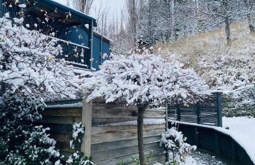 Arthur's Point Cabin | Moonlight Escape Lodge