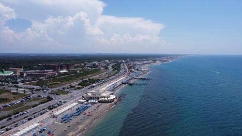 Quartiere XXXV Lido di Castel Fusano Apartment | Moonlight next Palapellicone tra mare e pineta monolocale