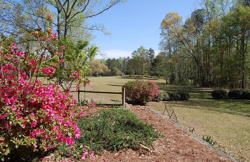 Auburn - Opelika House | Moores Mill Lodge, with pool and 8 acres, sleeps 11