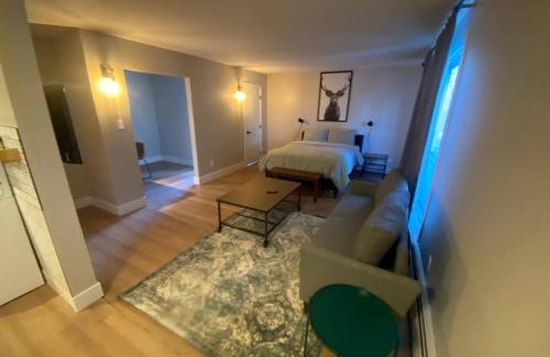 Northeast Edmonton House | Morden Newly Renovated 1br Flats, Walk To Whyte
