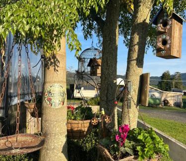 Aongatete Other | Morepork Rural Oasis