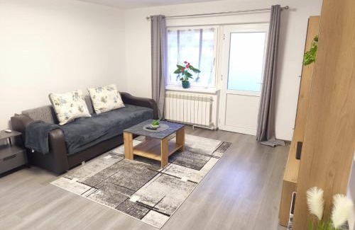 Sfantu Gheorghe Apartment | Morningstar Central