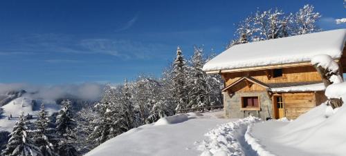 Morzine Ski Chalet | Morzine Panoramic