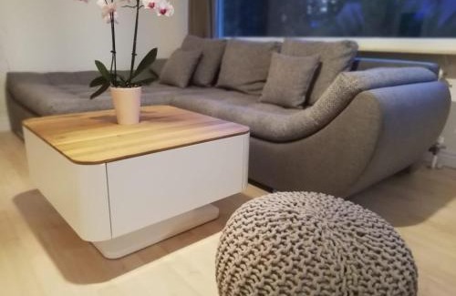 Baden-Baden Apartment | Moscow Areal Suite