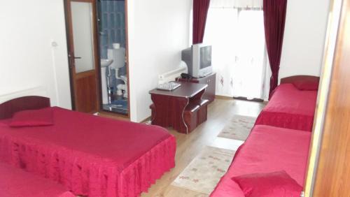 Sacalaseni Hotel | Motel Moara Veche