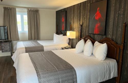 Saint-Simeon Hotel | Motel vue Belvédère