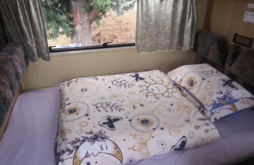 Frankton Other | Motorhome Experience