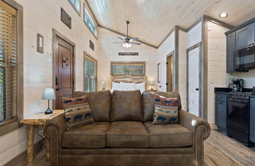 Rocky Grove Cabin | Mount Cammerer | Romantic Tiny Cabin with Wooded Views