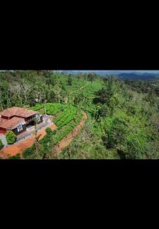 Mananthavady Apartment | Mount heaven homespace