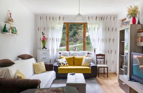 Samokov Apartment | Mountain Apartment in Borovets Ski Resort
