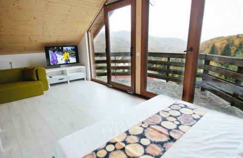 Cavnic Apartment | Mountain Apartments SuperSki