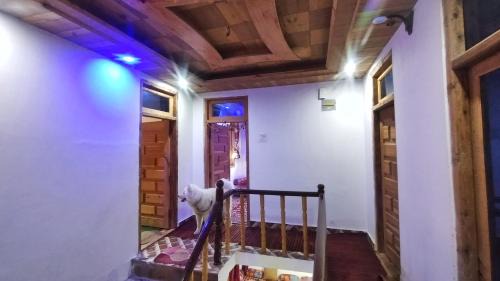 Kumharsain Apartment | Mountain Bliss - 2BHK Apartment