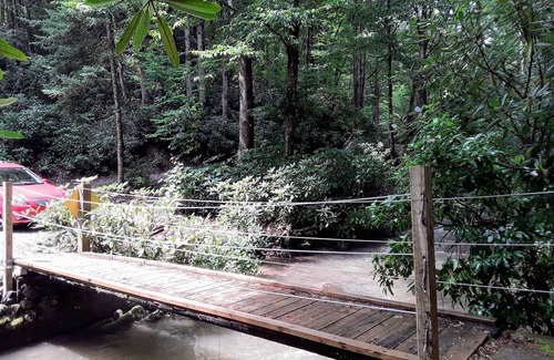 Robbinsville Cabin | -Mountain Cabin at the Waters Edge with WIFI