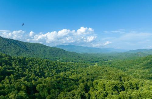 Robbinsville Ski Chalet | -Mountain Chalet Getaway with Breathtaking View Next to Tail of Dragon-