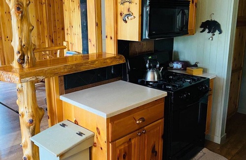 Blairsville Cabin | Mountain Creek Cabin VERY private 13 acres with trails, creeks. Bordering USNF!