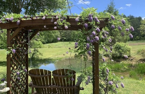 Blairsville Cabin | Mountain Getaway for You & Your Pet: Near Helen, Blue Ridge & Appalachian Trail!