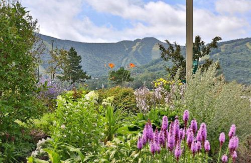 Killington Apartment | Mountain Green Resort by Killington VR - 2 Bedrooms