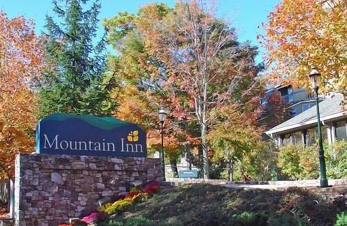 Wintergreen Condo | Mountain Inn Lodge 60 with Wintergreen Advantage