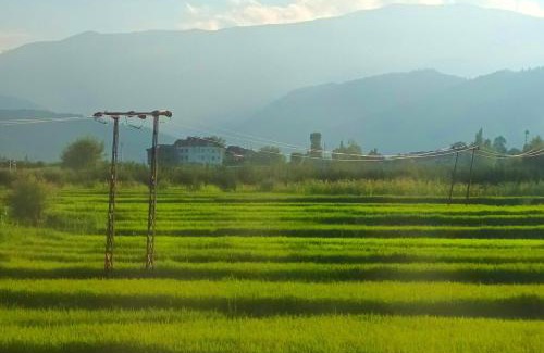 Srinagar House | Mountain Majesty