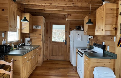Suches Cabin | Mountain Top Views | Deck + BBQ | PetsOK | Firepit
