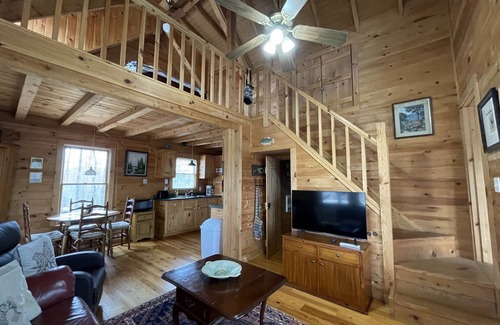 Suches Cabin | Mountain Top Views | Deck + BBQ | PetsOK | Firepit