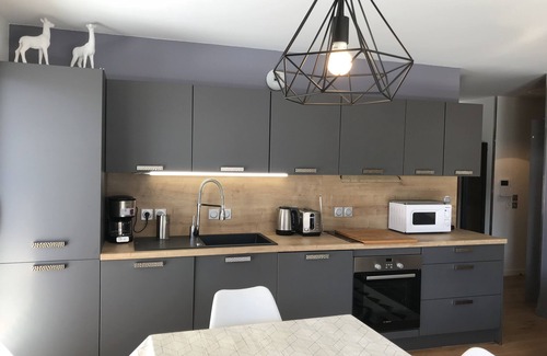 Vaujany Apartment | Mountain View Apartment - Large South-facing Terrace