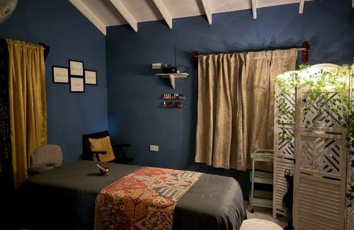 Gros Islet Apartment | Mountain View Apartments