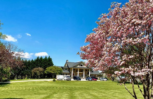 Skyland Cabin | Mountain View Cabin @ Skylaranna Resort