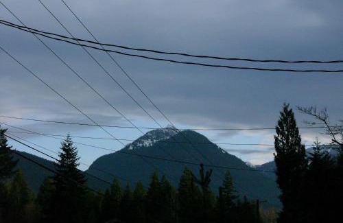 Packwood Cabin | Mountain View Lodge - No Pets allowed