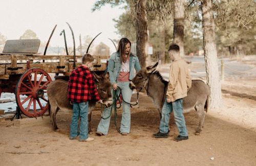 McIntosh Other | Mountain Views & Family Glamping Retreat