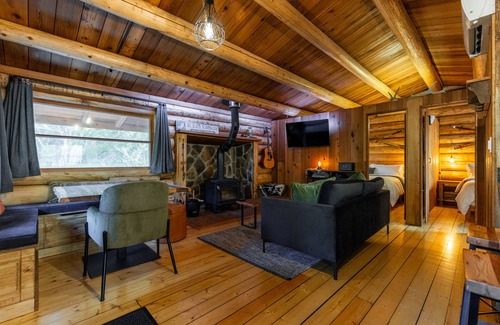 Warnick Cabin | Mt Baker Log Cabin w/Cedar Hot Tub, Firepit, Central Heating/Cooling & BBQ