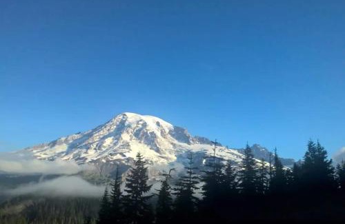 Ashford House | Mt Rainier Little Red Cabin