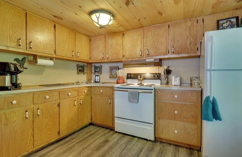 Warne Cabin | Mtn-View Warne Cabin: Hot Tub, Wine Cabinet!