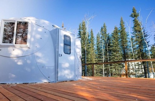 Pleasant Valley Villa | Mulchatna Igloo: Reindeer Walking Path and Aurora