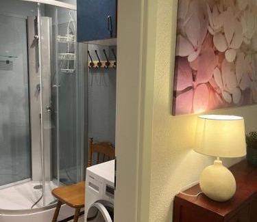 Zwickau Apartment | Muller's Residenz - Self Check in