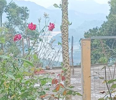 Idukki Villa | Munnar aathicottage in chinnakanal