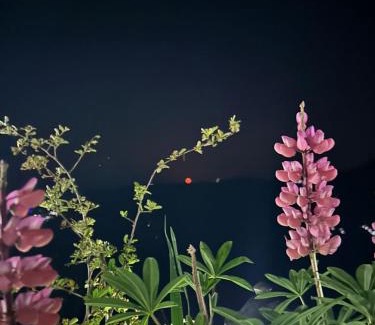 Darjeeling House | MURMINCHO HOMESTAY