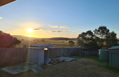 Moss Vale House | Must Love Dogs! Time to Paws in Moss Vale.