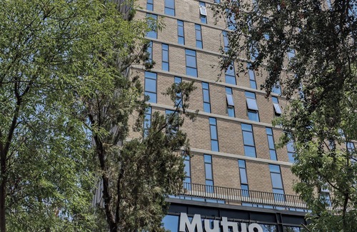 Guadalajara Apartment | Mutuo Vive: Connecting Creators Worldwide - Stylish Rooms & Memorable Stays!