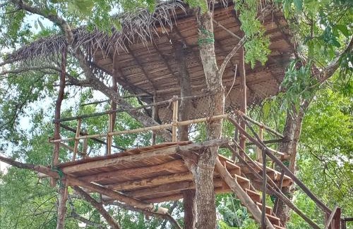 Hingurakgoda Resort | Muwan Palassa Resort