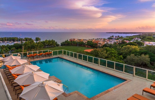 Coconut Grove Apartment | MVR - Stay Near Brickell Without the Hassle